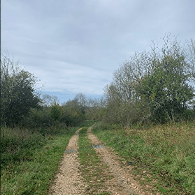 Randonnée - Des Lésines à Planachat