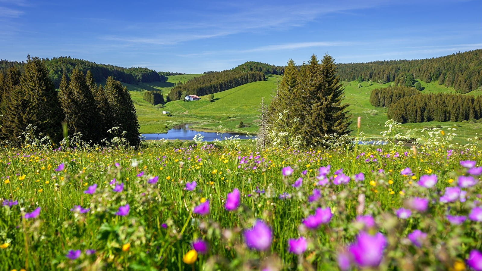 Tour des Fournets - 40B