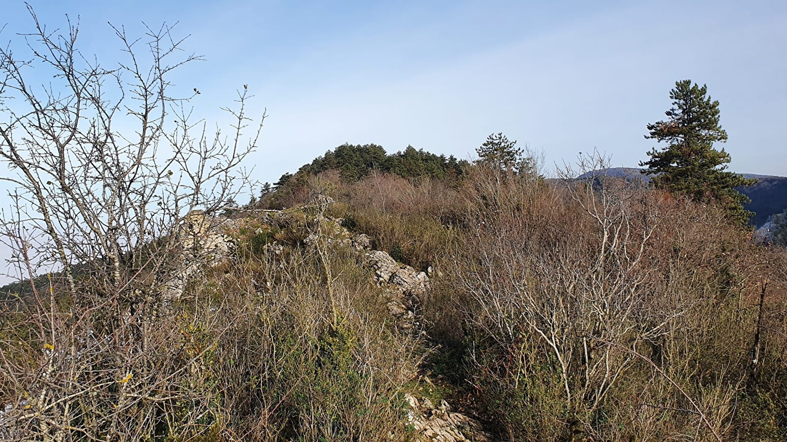Randonnée - Treffort et le belvédère du Mont de Grillerin