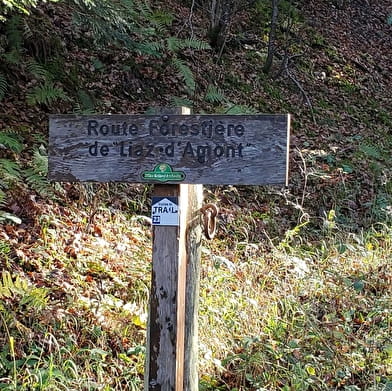 Parcours VTT 62 vert - Le Liaz d'Amont - Espace FFC Ain Forestière