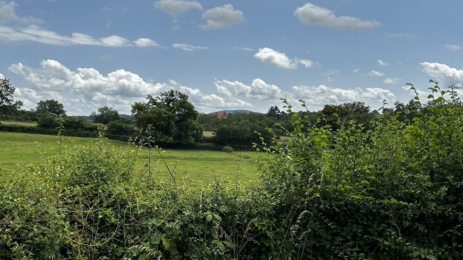 Balade Verte - La Ligne (VE1)