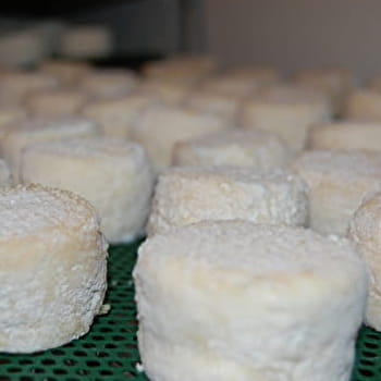 La Ferme du Rondeau - LAVANS-VUILLAFANS