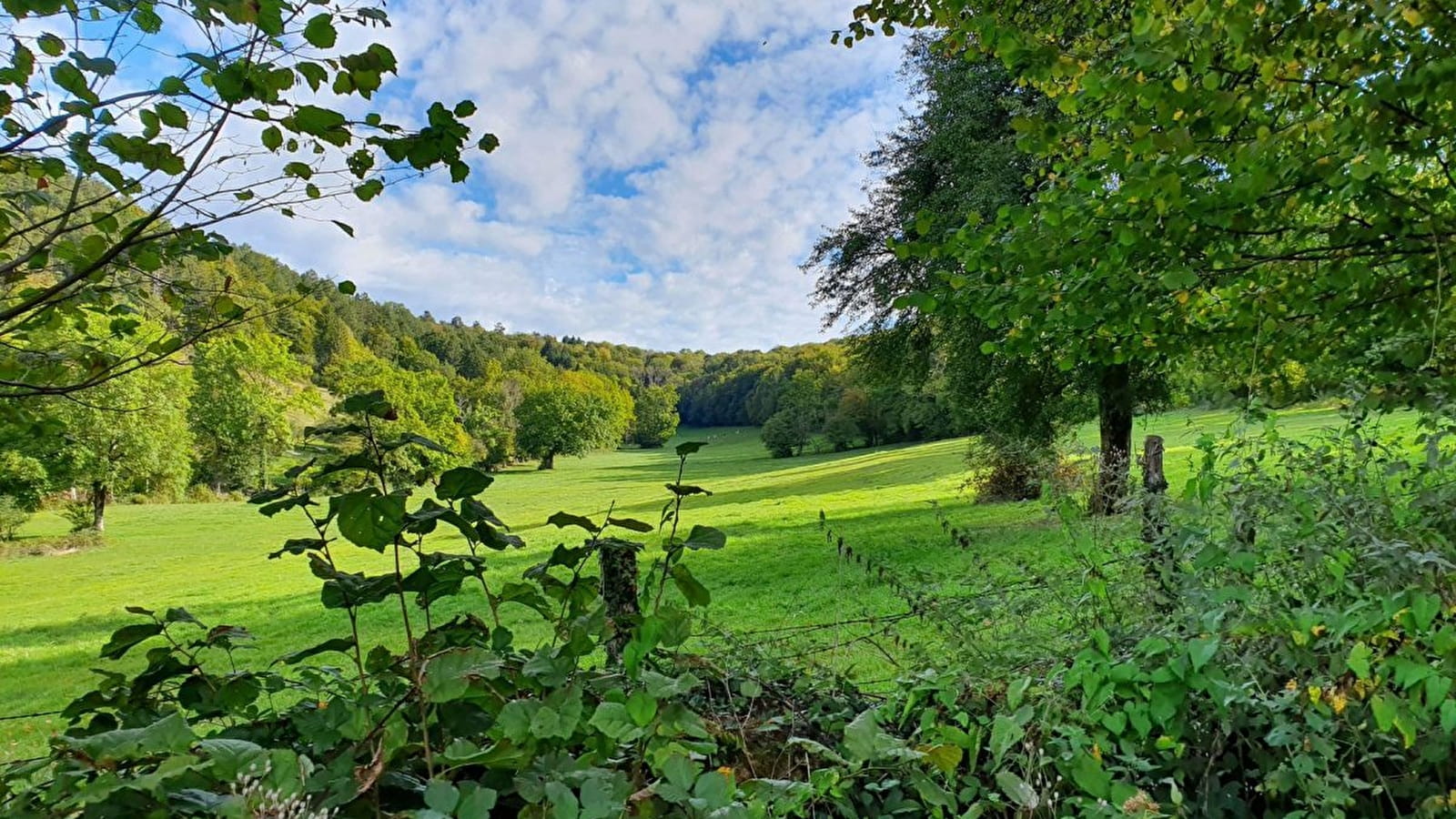 Sentier botanique de Rurey