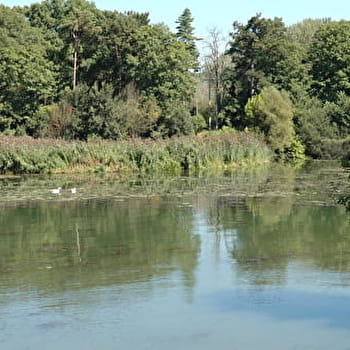 Les longs journaux - BINGES