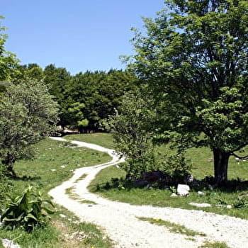Randonnée pédestre : Boucle de la Croix Famban - CORBONOD