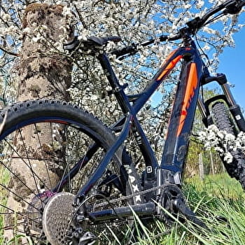 VTT dans les Monts de Gy : Circuit 58 'Le Captiot'  - GY