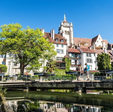 Le Circuit du Chat Perché