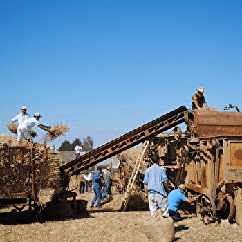 Retour dans le passé avec la Rétromoisson -