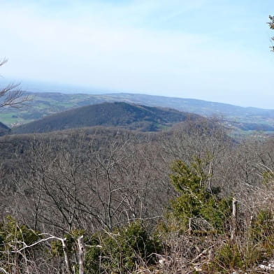 Randonnée - Tour du Mont Nivigne