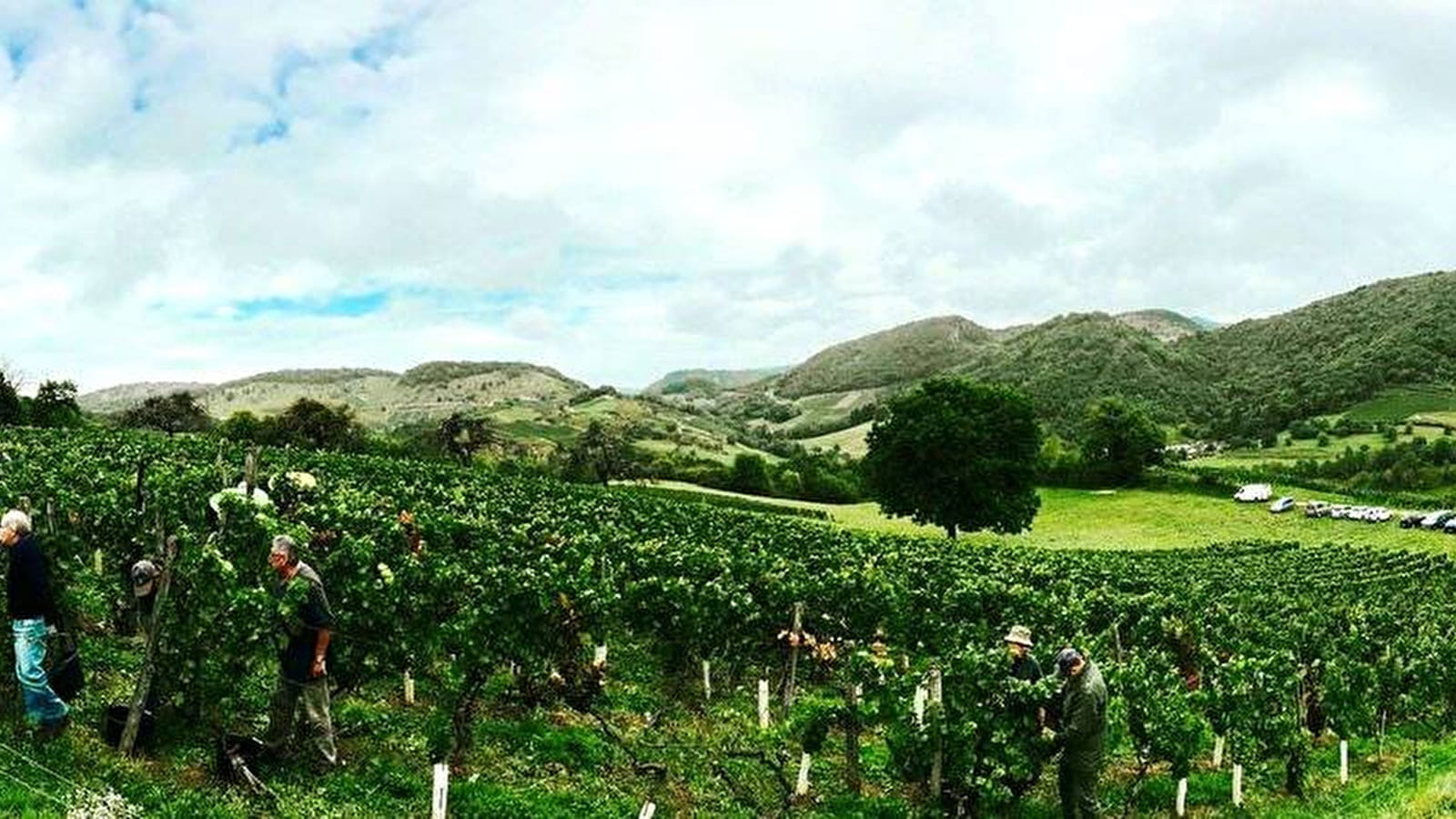 Caveau Bertrand-Chapel