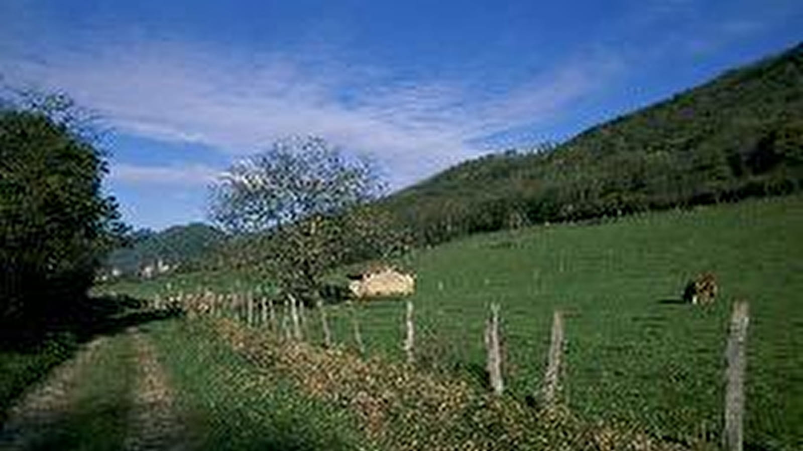 GR® de Pays Tour du Revermont