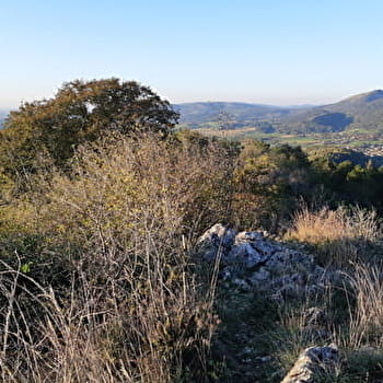 Balade - La Crête de Montcel - VAL-REVERMONT