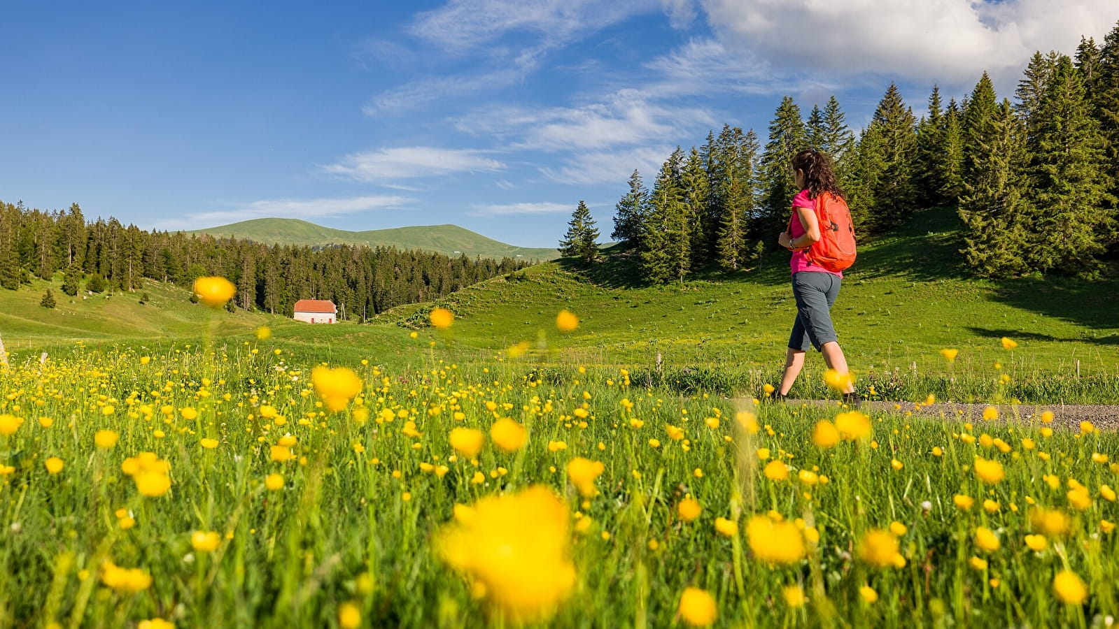 GRP Tour du Haut Jura Sud