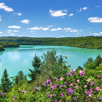 Tour du Lac de Vouglans VTT