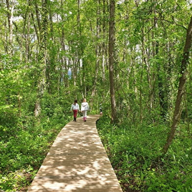 Randonnée pédestre : Marais des Bidonnes et Canal de Crans