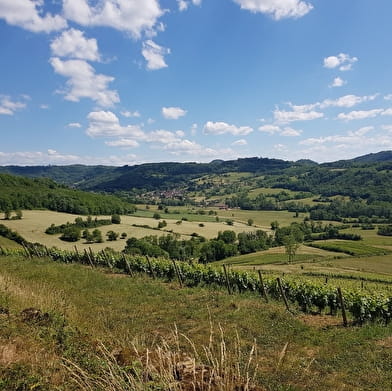 Le Circuit du Lavoir de Tuile