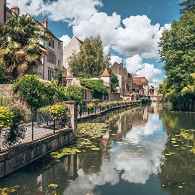 Le Circuit du Chat Perché