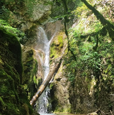 Randonnée pédestre : La Grande Marche Populaire de Gex