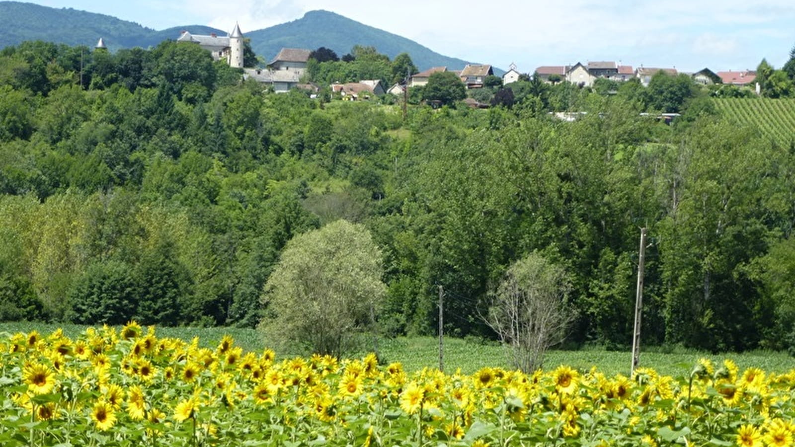 Parcours VTT 3 bleu - Bognens - Les Baraques - Espace FFC Ain Forestière