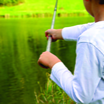 La Balade des Vergers - RIOZ