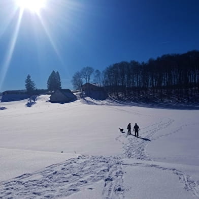 Itinéraire Raquettes du site de Lachat 'Le Nerbier'