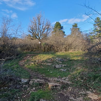 Vallée sèche du Revermont