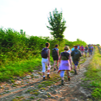 Le panoramique de la Vallée de la Saône - RECOLOGNE-LES-RIOZ