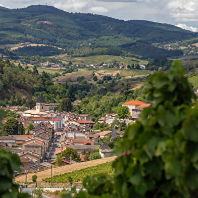 Circuit Les Coteaux du Beaujolais