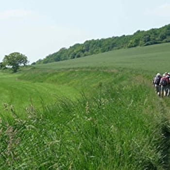 Sur les pas des maquis Bourgogne - DIXMONT