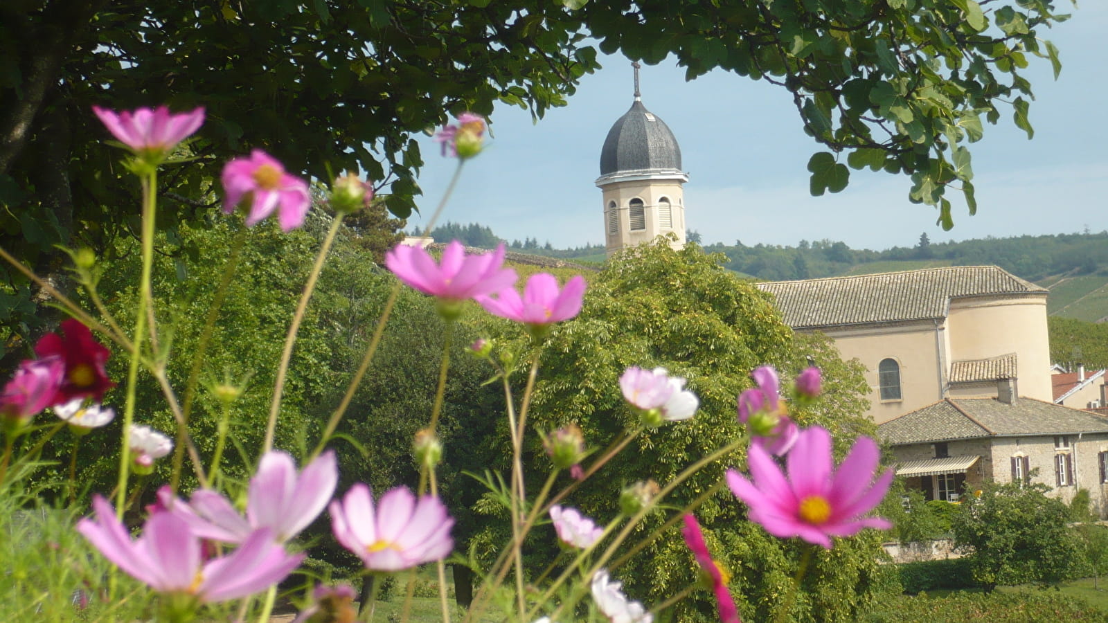Circuit de Chiroubles