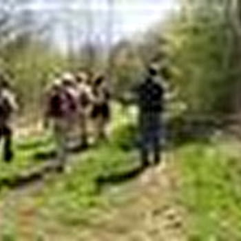 Circuit pédestre de Bellevue - GY