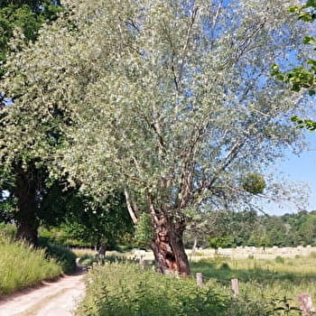 La grande escapade de Donzy - DONZY