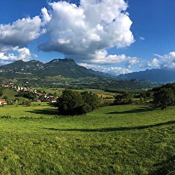Parcours VTT 7 noir - Montagne de Parves - Espace FFC Ain Forestière - BELLEY