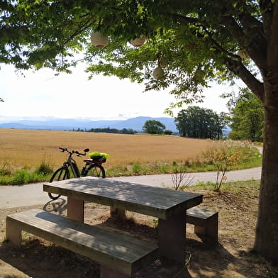 Voie Verte - La Ferney-Gex jusqu'à Ornex
