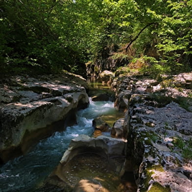 Tour de Pays VTT Bugey - Grand Colombier - Espace FFC Ain Forestière : étape 1 Culoz - La Praille