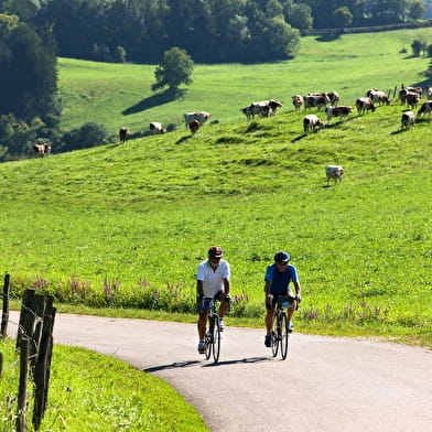 Tour du Jura Vélo Sport – Étape 1 : Lons-le-Saunier – Arinthod