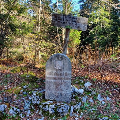 Parcours VTT 63 bleu - La Borne des 3 Cantons - Espace VTT Ain Forestière