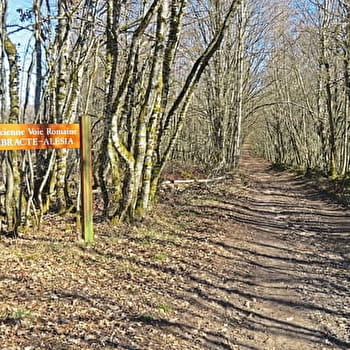 Boucle de l'Argentalet - SAULIEU