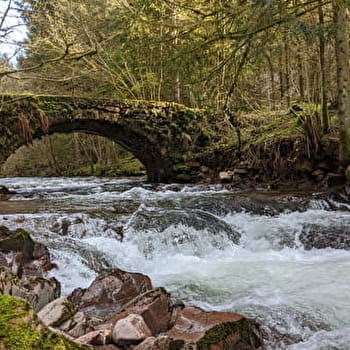 Le Mont Cornu - SERVANCE-MIELLIN