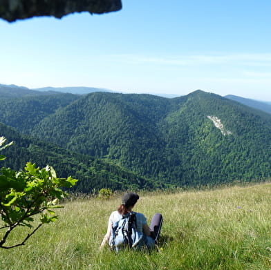 Randonnée - De Chamoise aux Monts d'Ain