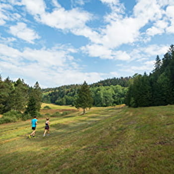 La boucle du Liaz d'Amont - Parcours de trail n°21 - PLATEAU D'HAUTEVILLE