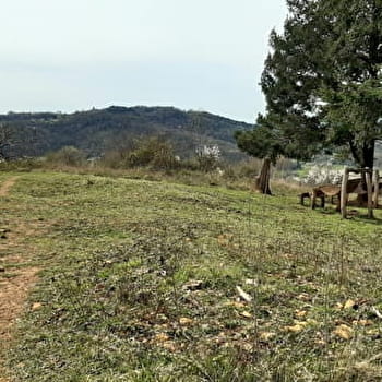 La Côte de Mancy - LONS-LE-SAUNIER