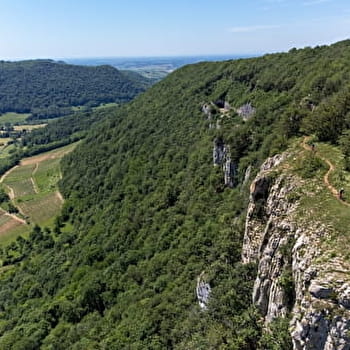 Circuit des Moidons - 13R - ARBOIS