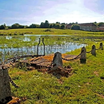 L'Orme du Pont depuis Moutiers-en-Puisaye - MOUTIERS-EN-PUISAYE