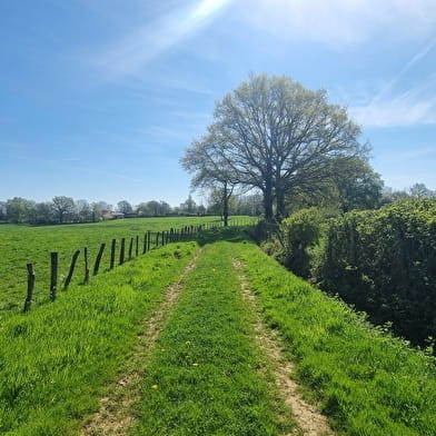 Liaison VTT-VTC (L4) St Trivier de Courtes - Ferme de la Forêt