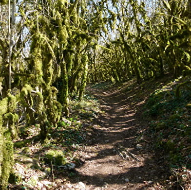 Lac de Vouglans Les falaises de Surchauffant