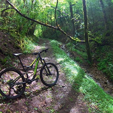 Circuit VTT n°5 (vert) - Forêt de la Rousse - Bois de Valuisant