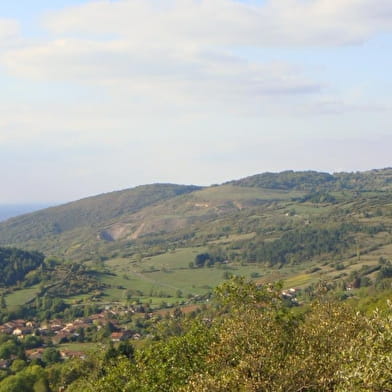 Château de Montfort, éperon barré celte ou site médiéval