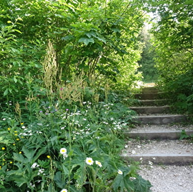 Randonnée pédestre : Le Petit Montrond - la Faucille