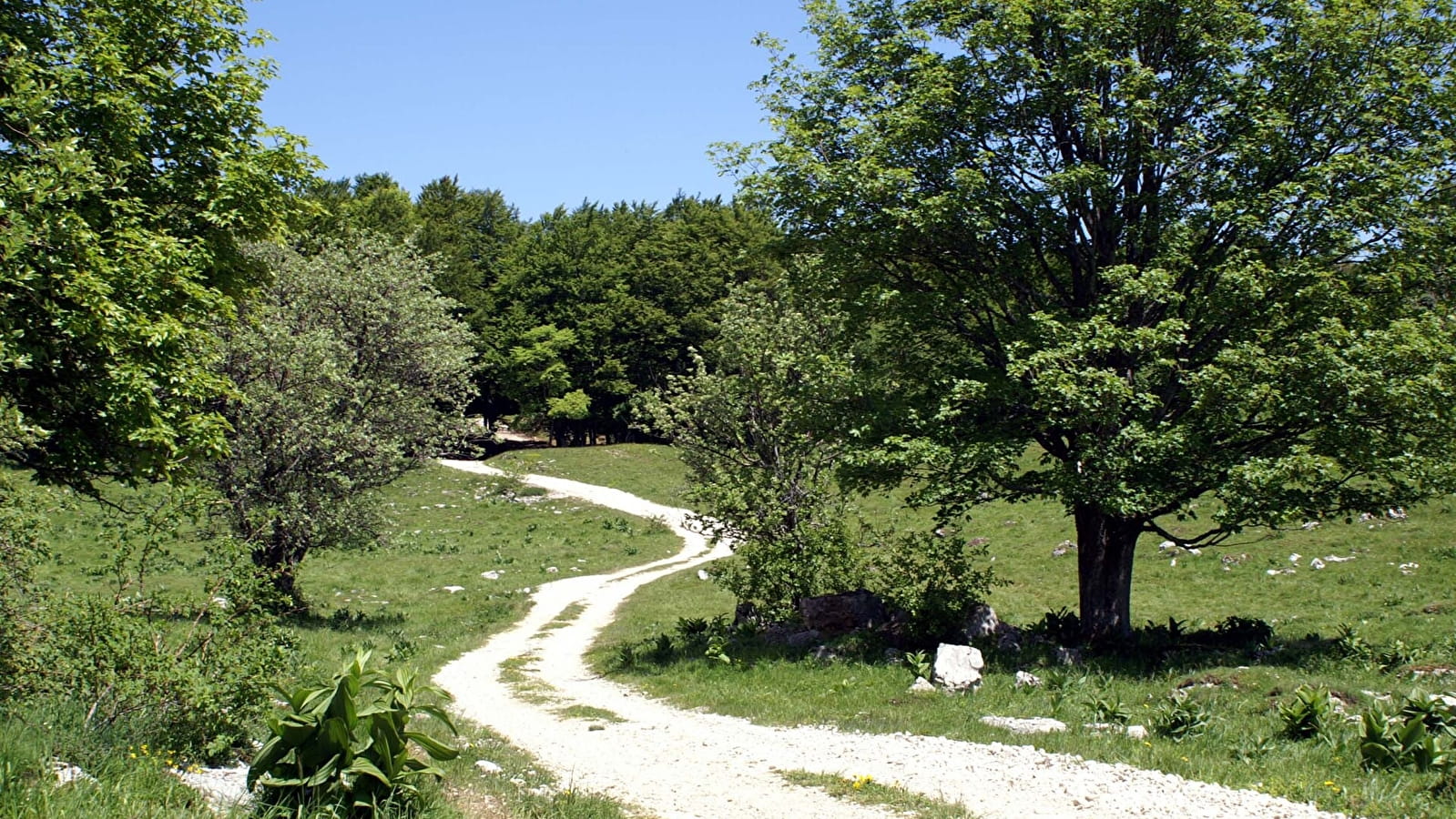 Randonnée pédestre : Boucle de la Croix Famban